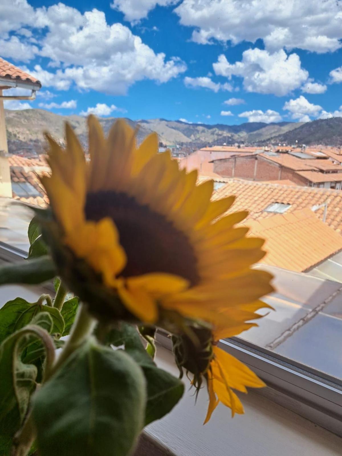 Hotel Suenos Del Inka Cuzco Eksteriør bilde